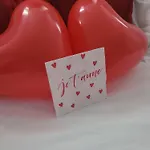 Fee Moi Rêver *