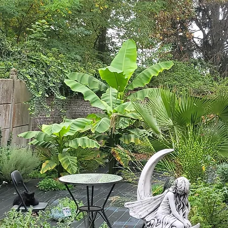 Fee Moi Rever * Lallaing