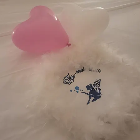 Fee Moi Rever Vakantiehuis Lallaing